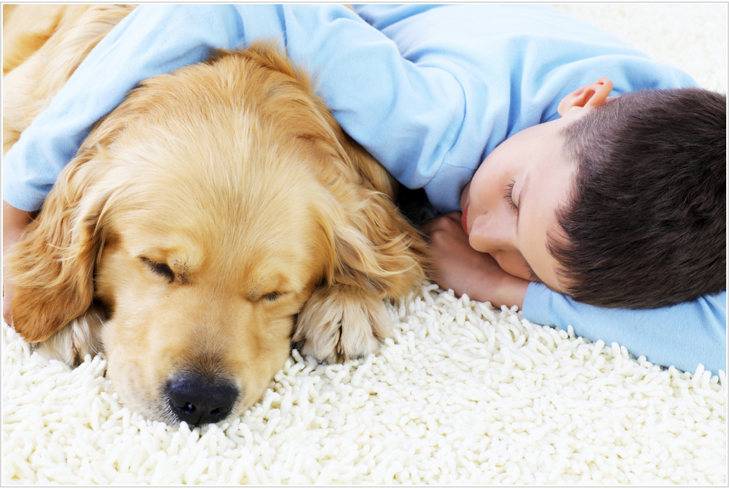 Boy cuddling with dog on plush carpet